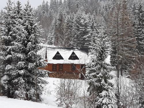 Bacówka w sercu gór - dom z bali w Gorcach Bacówka w sercu gór - dom z bali w Gorcach