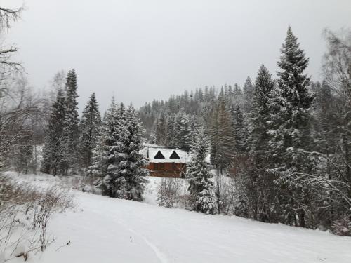 Bacówka w sercu gór - dom z bali w Gorcach Bacówka w sercu gór - dom z bali w Gorcach
