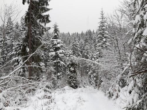 Bacówka w sercu gór - dom z bali w Gorcach Bacówka w sercu gór - dom z bali w Gorcach