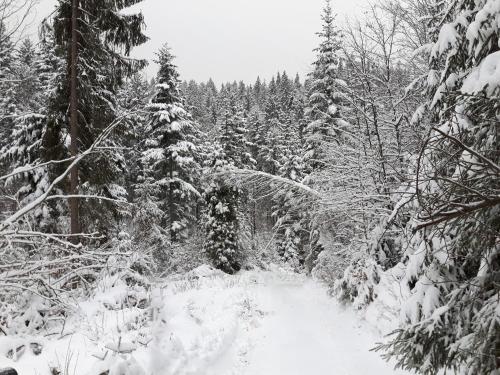 Bacówka w sercu gór - dom z bali w Gorcach Bacówka w sercu gór - dom z bali w Gorcach