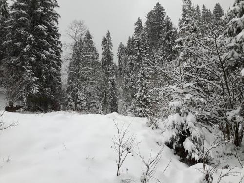 Bacówka w sercu gór - dom z bali w Gorcach Bacówka w sercu gór - dom z bali w Gorcach