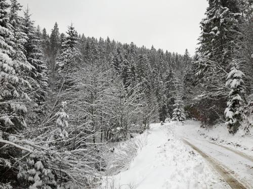 Bacówka w sercu gór - dom z bali w Gorcach Bacówka w sercu gór - dom z bali w Gorcach