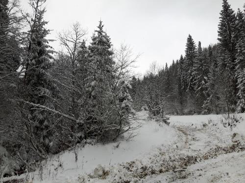 Bacówka w sercu gór - dom z bali w Gorcach Bacówka w sercu gór - dom z bali w Gorcach