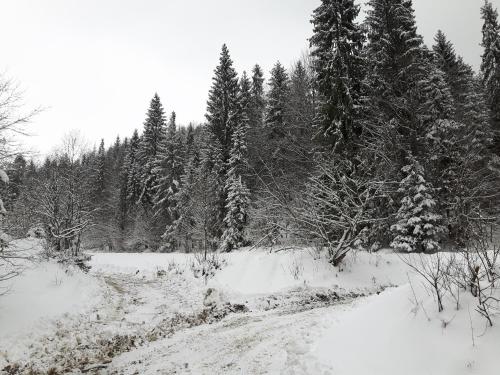 Bacówka w sercu gór - dom z bali w Gorcach Bacówka w sercu gór - dom z bali w Gorcach