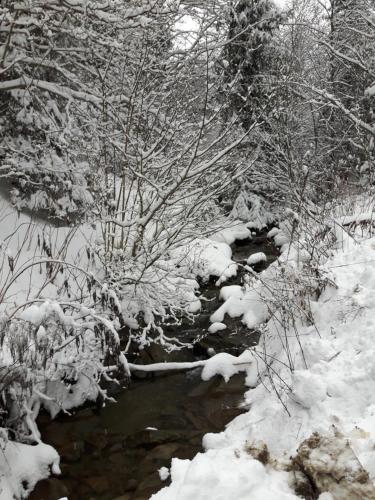 Bacówka w sercu gór - dom z bali w Gorcach Bacówka w sercu gór - dom z bali w Gorcach