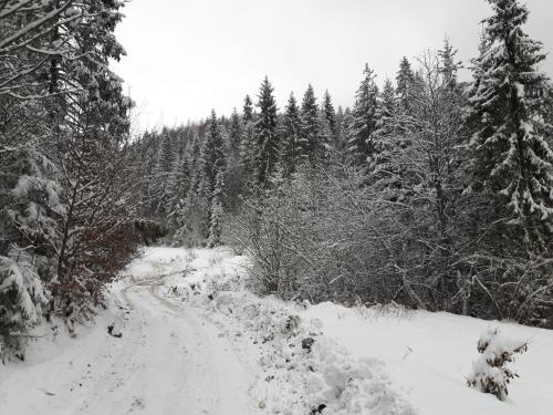 Bacówka w sercu gór - dom z bali w Gorcach Bacówka w sercu gór - dom z bali w Gorcach