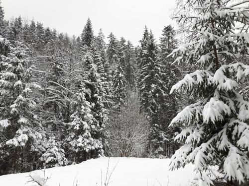 Bacówka w sercu gór - dom z bali w Gorcach Bacówka w sercu gór - dom z bali w Gorcach