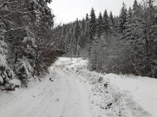 Bacówka w sercu gór - dom z bali w Gorcach Bacówka w sercu gór - dom z bali w Gorcach