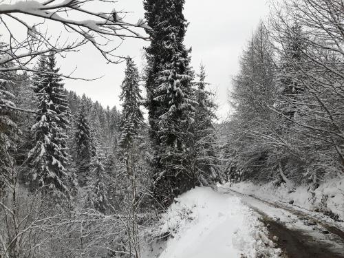 Bacówka w sercu gór - dom z bali w Gorcach Bacówka w sercu gór - dom z bali w Gorcach