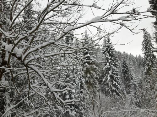 Bacówka w sercu gór - dom z bali w Gorcach Bacówka w sercu gór - dom z bali w Gorcach