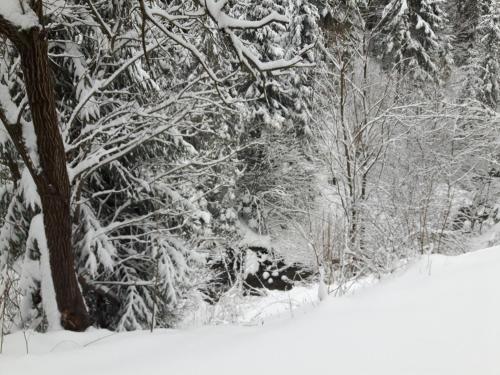 Bacówka w sercu gór - dom z bali w Gorcach Bacówka w sercu gór - dom z bali w Gorcach