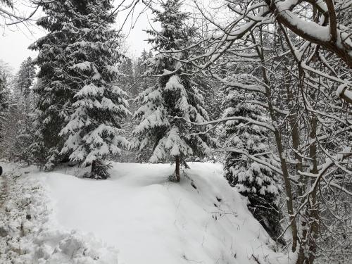 Bacówka w sercu gór - dom z bali w Gorcach Bacówka w sercu gór - dom z bali w Gorcach