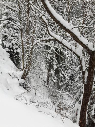 Bacówka w sercu gór - dom z bali w Gorcach Bacówka w sercu gór - dom z bali w Gorcach