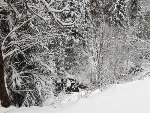 Bacówka w sercu gór - dom z bali w Gorcach Bacówka w sercu gór - dom z bali w Gorcach