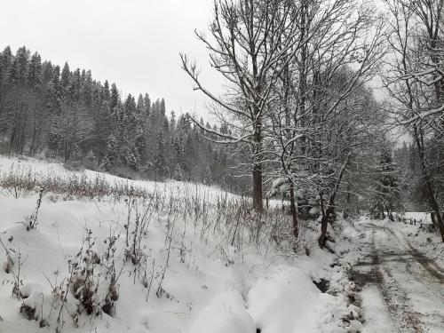 Bacówka w sercu gór - dom z bali w Gorcach Bacówka w sercu gór - dom z bali w Gorcach