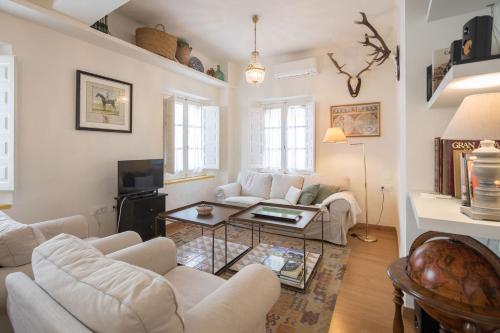 Champion Duplex Terrace and Garage Old Town 6 pax, Sevilla (Foto 10)