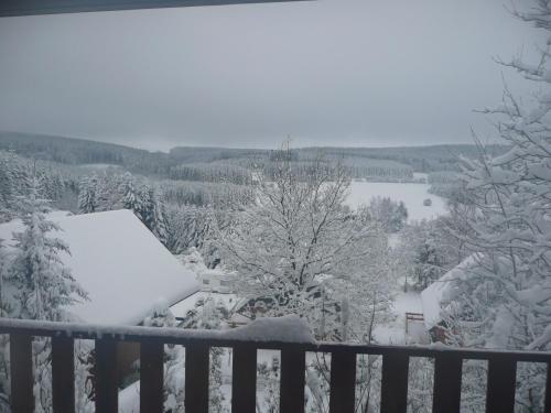  Chalet Belle Vue with sauna in Dochamps