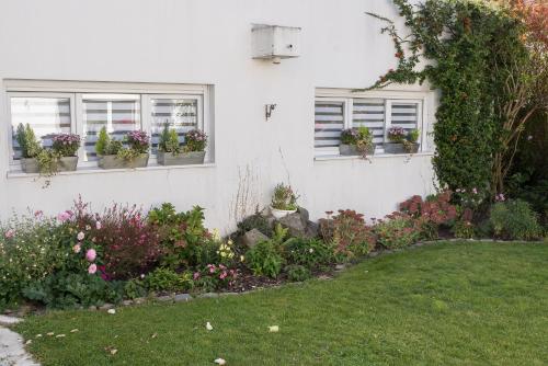 Annette's Home 2
