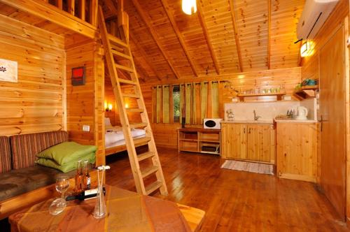 1 double bed, 2 sofa beds