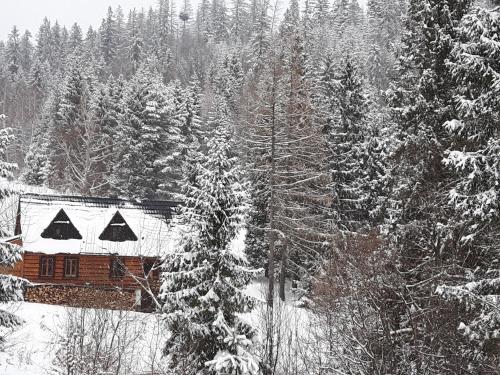 Bacówka w sercu gór - dom z bali w Gorcach Bacówka w sercu gór - dom z bali w Gorcach