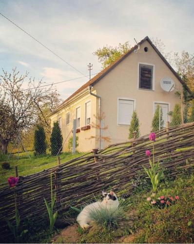  Holiday House Dolina, Unterkunft in Krapinske Toplice