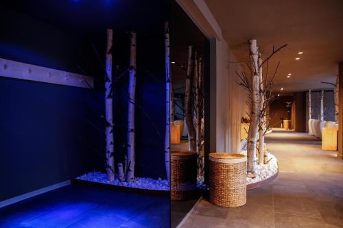 Szauna, Hotel Alpina - Swiss Ski & Bike Lodge Grimentz in Grimentz