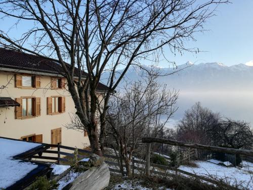 CASA DI RONCHI - image 3