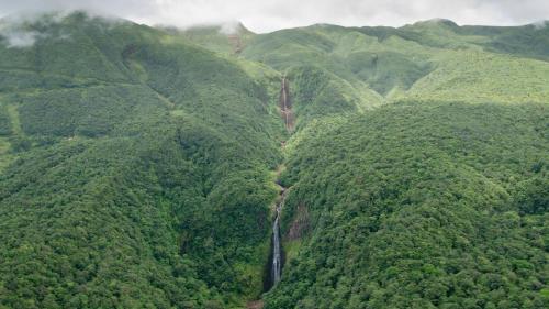Khu vực xung quanh, le "BWA ' KAO" in Capesterre-Belle-Eau