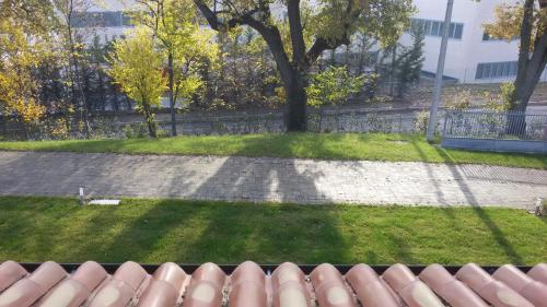 Rinaldi House 5