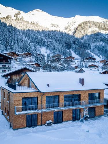 Fetz Luxury Appartements in Steeg, Österreich