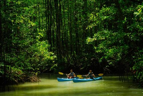 Playa Nicuesa Rainforest Eco Sanctuary