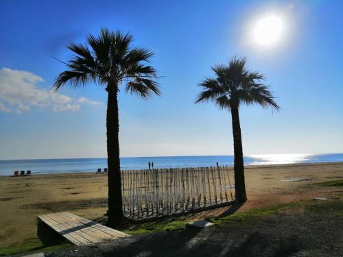 Alex Beach Apartment 31 - image 2