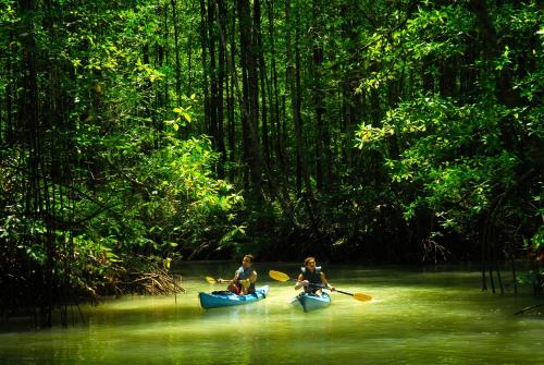 Playa Nicuesa Rainforest Eco Sanctuary