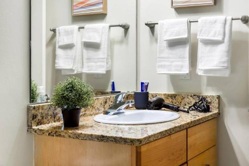 Trifecta 2BR Free Parking Modern Superhost thumb 2