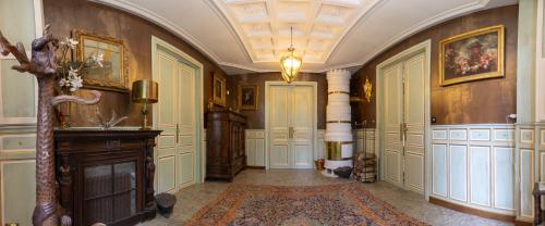 Chateau de Druon