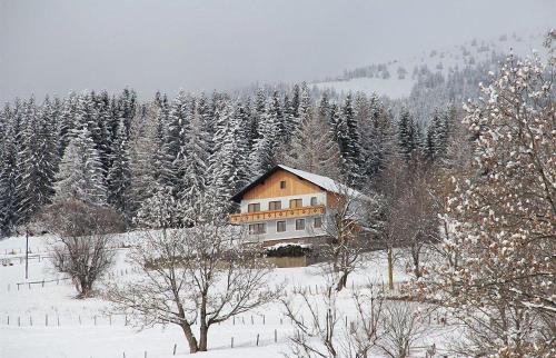 Ferienwohnung Greim - Location saisonnière - Sankt Peter am Kammersberg