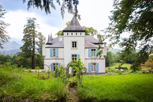 Chateau de Druon