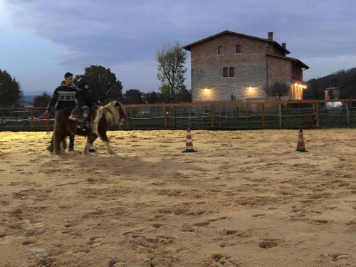 La Tenuta del Campo di Sopra