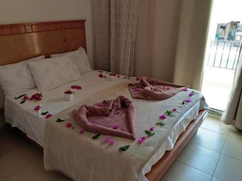 New Yalla Hotel – Dahab