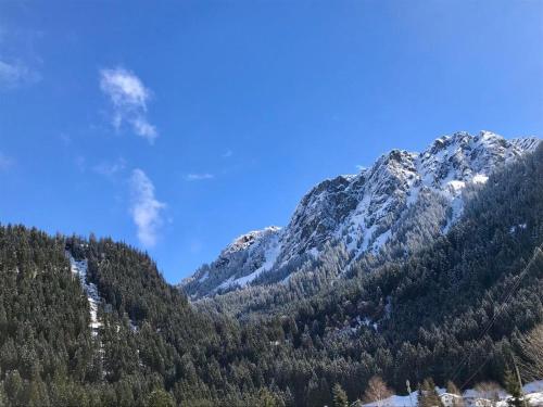 Dış Görünüm, AlpinAppartements Stöckl (AlpinAppartements Stockl) in Partenen