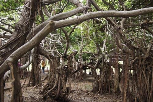 Baan Lita thumbnail 4