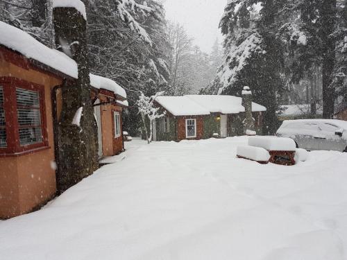 Malahat Bungalows Motel