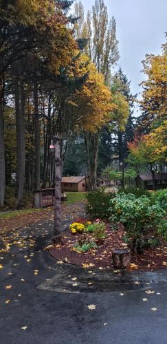 Malahat Bungalows Motel