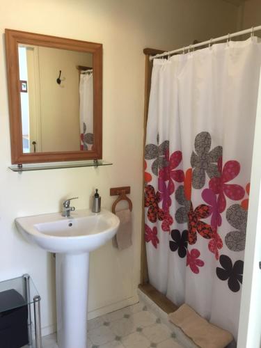 Bathroom, Mountainview Makarora Accommodation in Makarora
