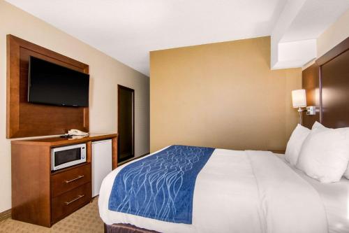 Comfort Inn & Suites Medicine Hat