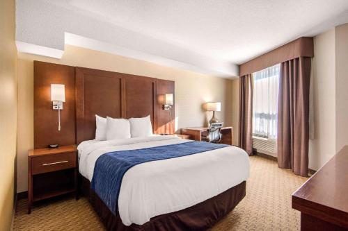 Comfort Inn & Suites Medicine Hat