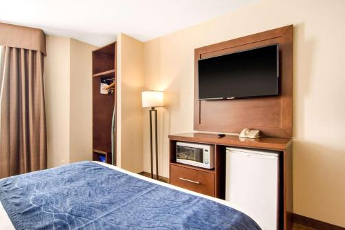 Comfort Inn & Suites Medicine Hat