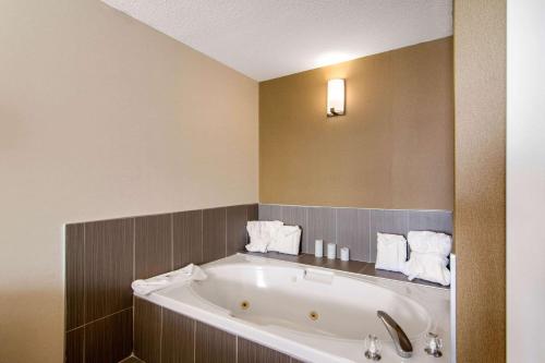 Comfort Inn & Suites Medicine Hat