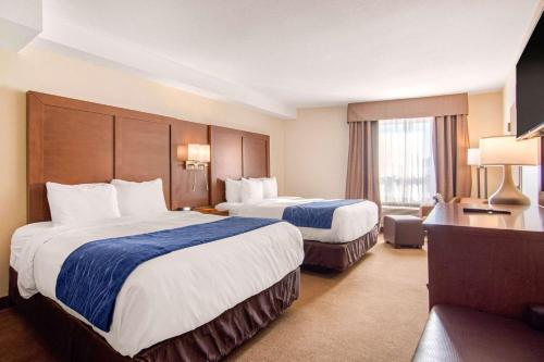 Comfort Inn & Suites Medicine Hat