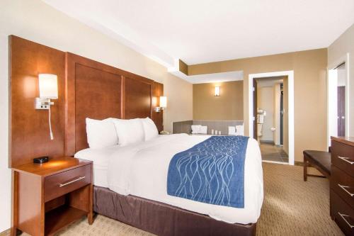 Comfort Inn & Suites Medicine Hat